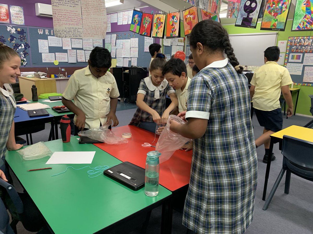 Year 5 sfa tweet media