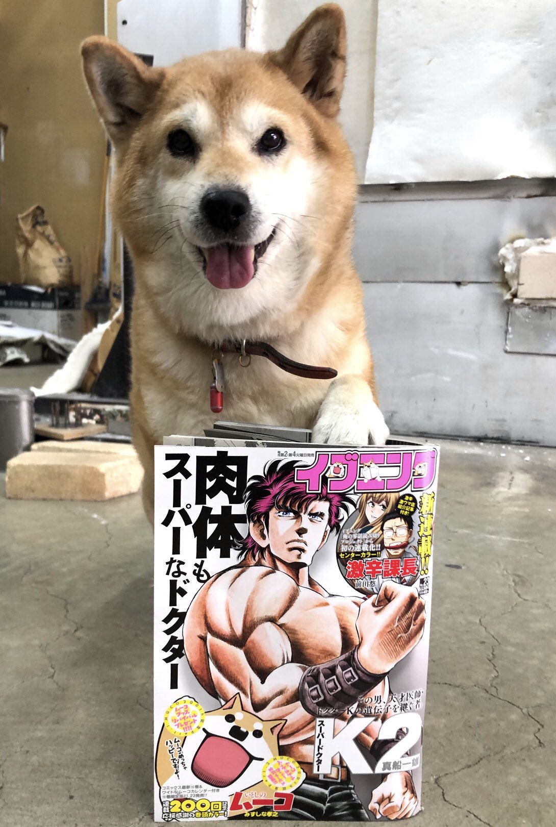 ムーコ イブニング23号でーてーますよー いとしのムーコ が0かいきねんで グッズとかいろいろじょうほう いっぱいですよー T Co Vhikbfckcz Twitter