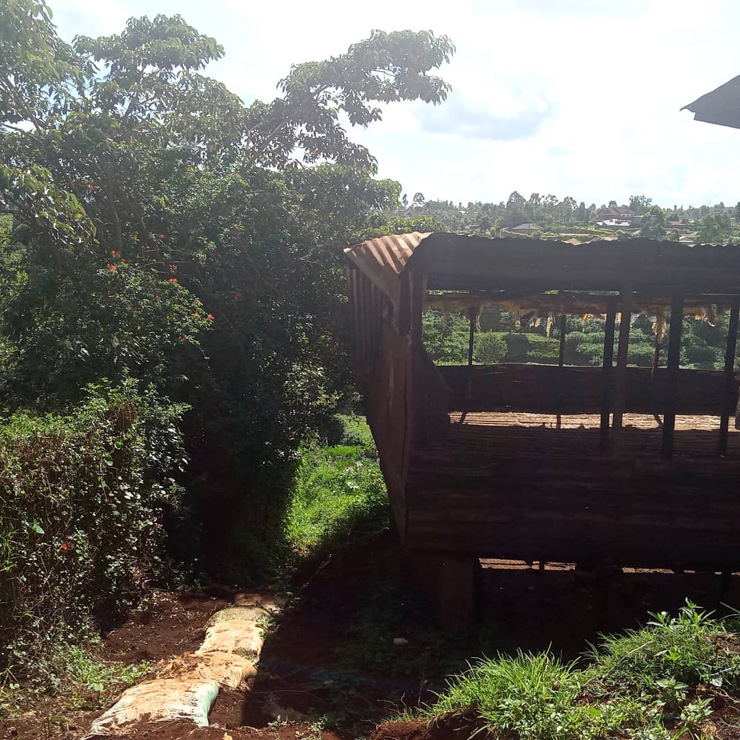 Fortcomholdings's tweet photo. A wise man or a wage earner is he who invests his money,
Look at our 2acres in Nyathuna beautiful developed for farming poultry keeping and so much more.
Contact us for more information on 
+254 15 080 644
Or email us on sales@fortcomholding.co.ke https://t.co/2sc8vtieEm