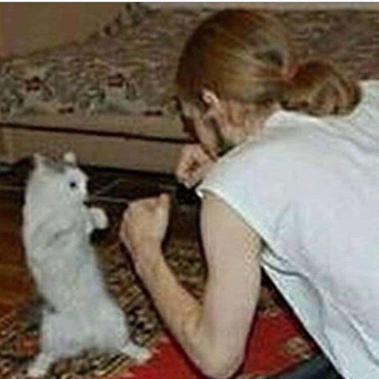 eggsavierstein's tweet image. Hello Neglected twitter account