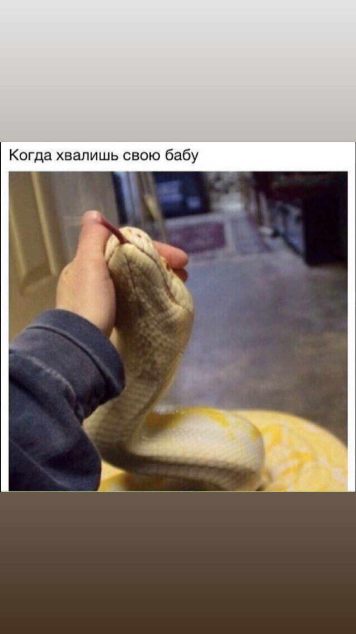 Когда хвалишь свою бабу змея
