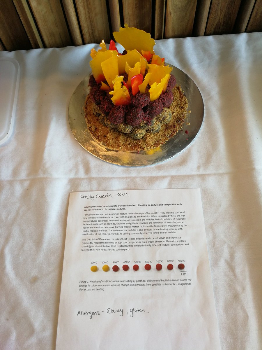 gesssq's tweet photo. Come for the science, stay for the cake. Come for the cake, stay for the science.
Who will take the crown in #gesss19 's inaugural #GeoBakeOff? https://t.co/Mj8m2lXQud