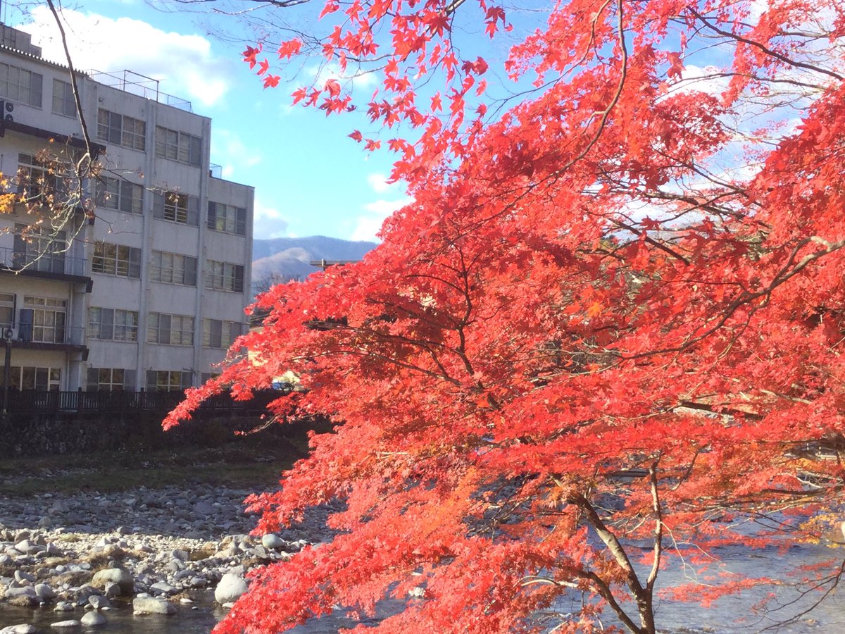 Cosmophoenix 青龍央宙 Twitterissa 塩原温泉郷 古町温泉 紅の吊り橋 もみじの湯近くの紅葉 塩原温泉 紅葉 Cosmophoenix 青龍央宙 Twitterissa 塩原温泉郷 古町温泉 紅の吊り橋 もみじの湯近くの紅葉 塩原温泉 紅葉