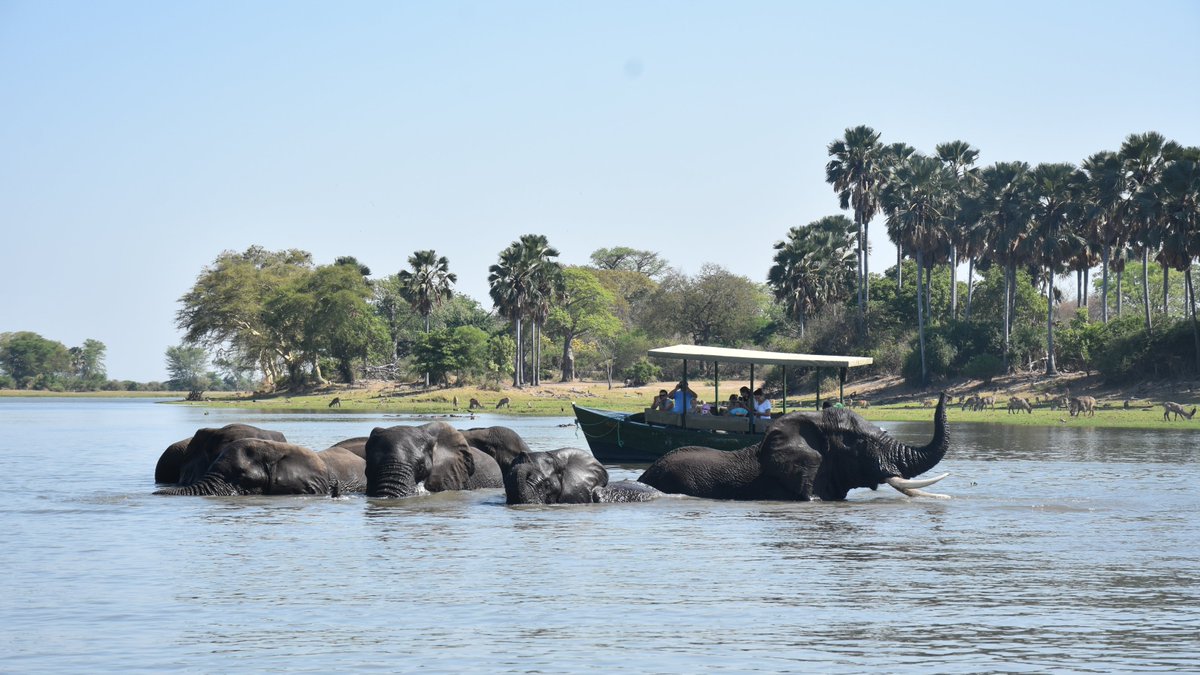 Did you know that the shorter distances between attractions  in #Malawi make it possible for travelers to be doing a river boat cruise on the Shire River at Liwonde National Park during the day and watch the sunset on Lake Malawi by evening
#TravelTuesday