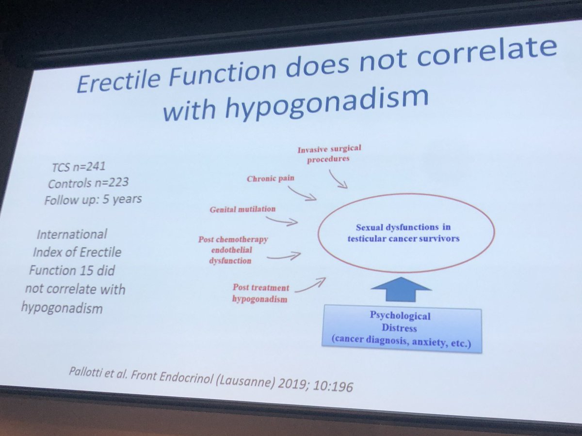 COSAoncology's tweet image. Ada Cheung #ErectileFunction does not correlate with #hypogonadism #TesticularCancer #COSA19 @ANZUPtrials