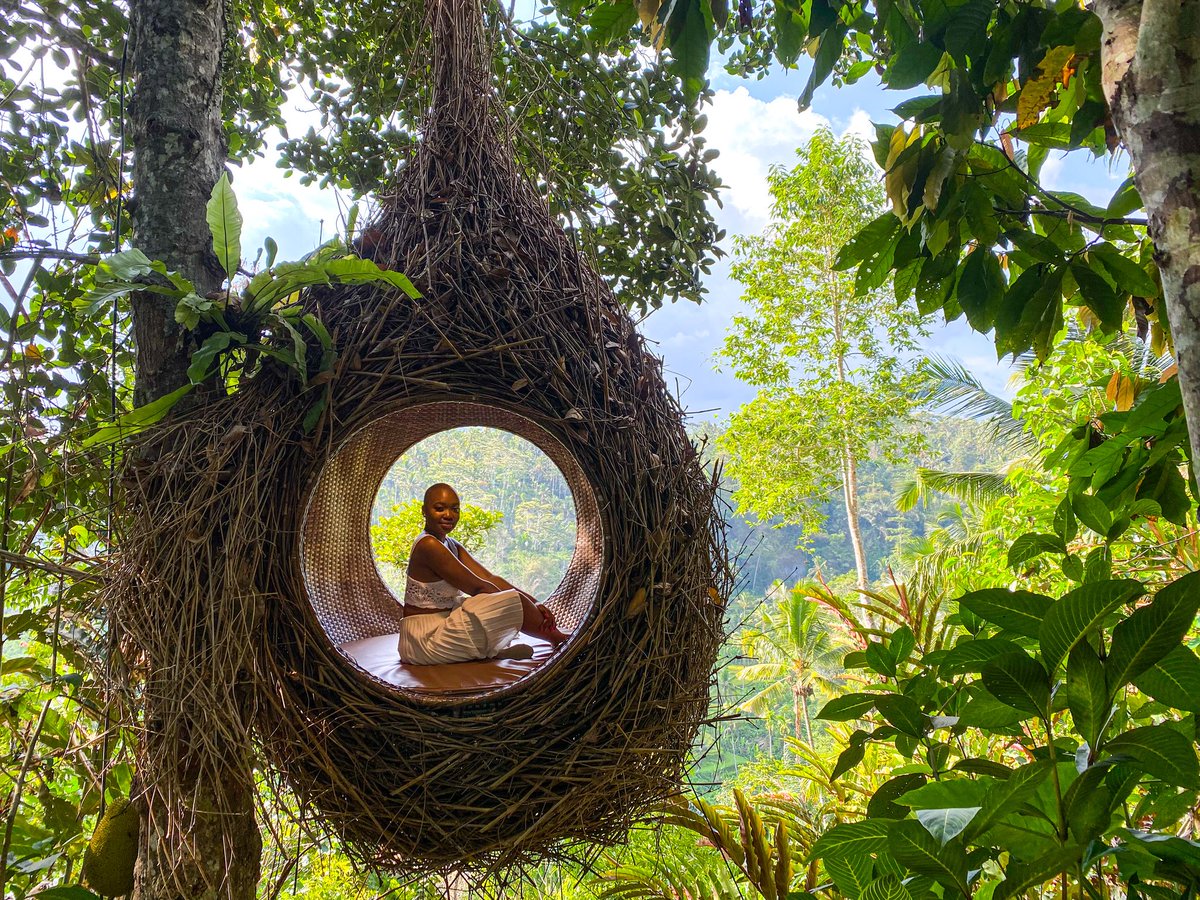 My itinerary : I stayed for a short time so everyday there was an activityFriday : Instagram tour - it goes to Heavens gates, water place, waterfall, jungle swing (where there's a nest) and rice terraces.. Takes about 10 hours #LuyandaTravelTips https://www.getyourguide.com/bali-l347/bali-instagram-tour-the-most-scenic-spots-t162114/