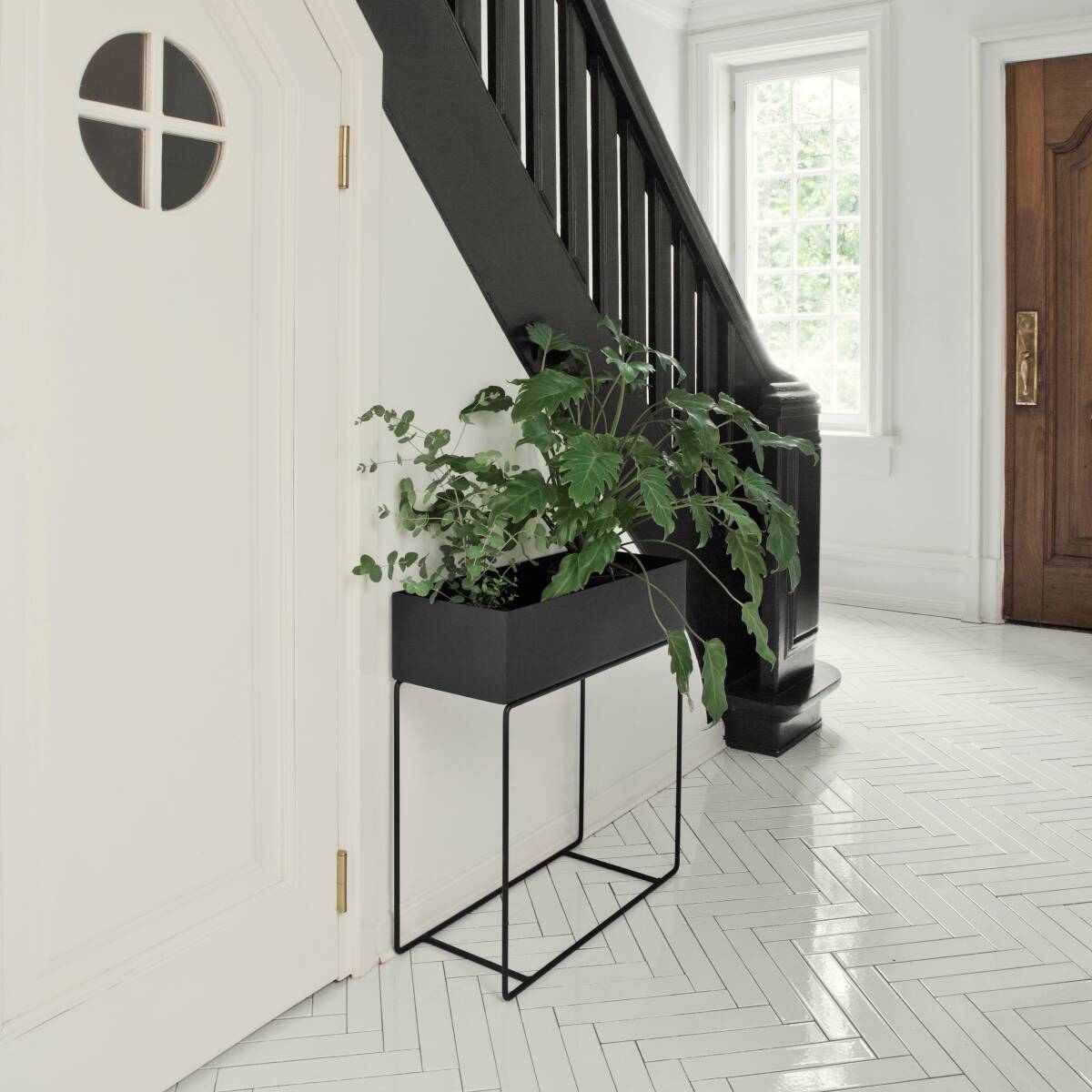 Revamp your hallway with some gorgeous plants - tidd.ly/3b9fa301

For more design inspiration take a look at our blog posts - interiordesignpantry.com/blog/revamp-yo…

interiordesignpantry.com/blog/low-maint…

#interiordesignblog #interiordesignpantry