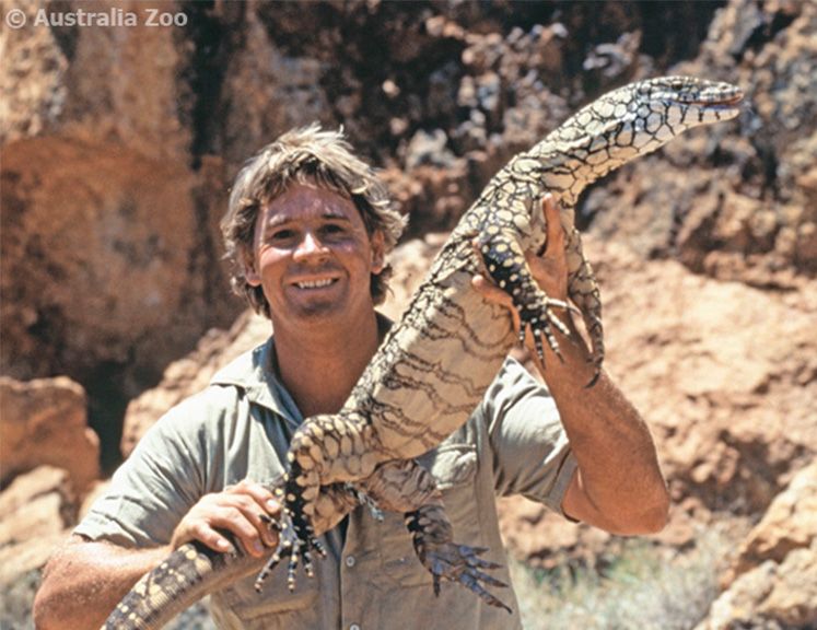 Study Sunshine Coast (@studyscoast) on Twitter photo #SteveIrwinDay is fast approaching! Join <a href="/AustraliaZoo/">Australia Zoo</a> in celebrating the original Wildlife Warrior November 15th: buff.ly/36TQnKV β€οΈπ#visitsunshinecoast <a href="/Queensland/">Queensland Australia</a> #AustraliaZoo #SteveIrwinDay is fast approaching! Join <a href="/AustraliaZoo/">Australia Zoo</a> in celebrating the original Wildlife Warrior November 15th: buff.ly/36TQnKV β€οΈπ#visitsunshinecoast <a href="/Queensland/">Queensland Australia</a> #AustraliaZoo