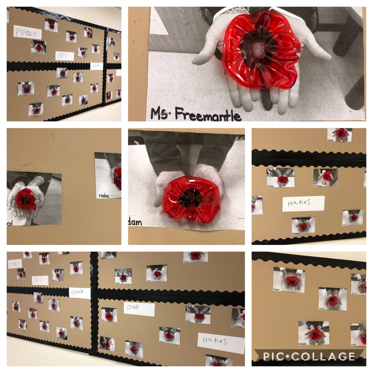 ‘Peace Lies Within Our Hands’ with Plowman’s K3 class. #PlowmansRemembers #PeelRemembers ⁦@PeelSchools⁩ ⁦@GSolomonHenry⁩