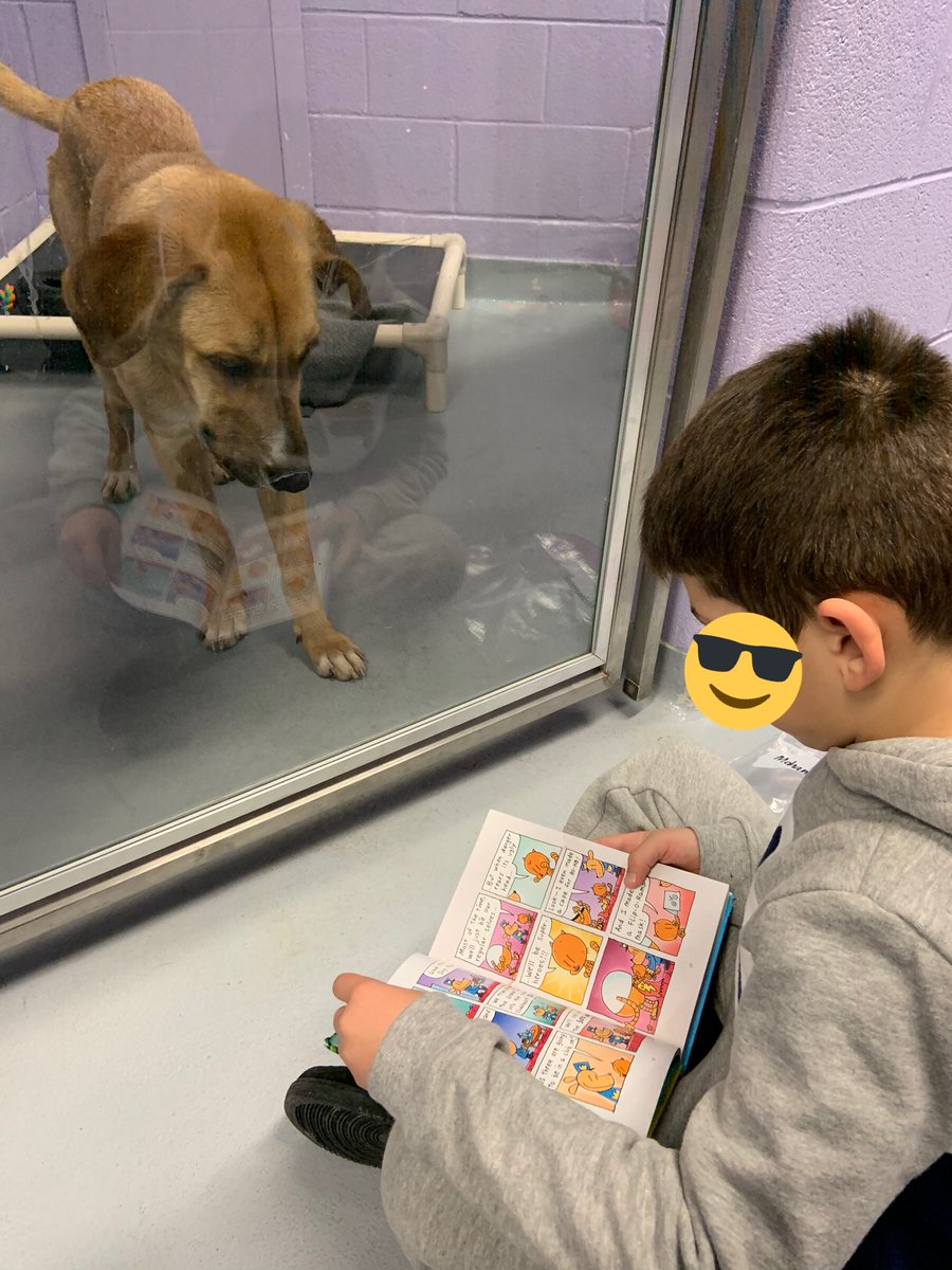 SharlaFalodi's tweet photo. Sending a ginormous thank you to @THS_tweet. @JeanLumbPS_TDSB students were so grateful to share what they are currently reading with the beautiful and compassionate animals at the 11 River St location. I think we’ve found more than just reading buddies! 🐶🐱🐹🐭🐰🐢📚🧡 https://t.co/blyrORBUiP
