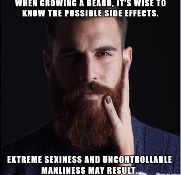 VikingBeard (@vikingbeard2) on Twitter photo 