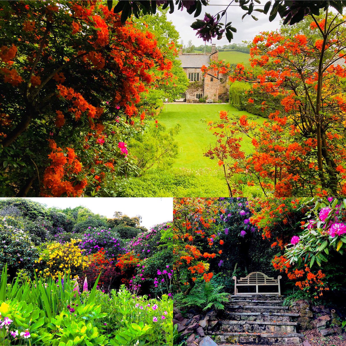 BickleighCastle's tweet photo. Think of Spring ... think of flowers,fragrance &amp; colour.
Our historic gardens have been the backdrop to many a fine wedding.
With a few remaining dates for spring 2020, make next year “The Year”.
https://t.co/eeBujRn3xg

#weddingseason #spring #summer #happybrides #weddingvenue https://t.co/HEZbxpXSoE