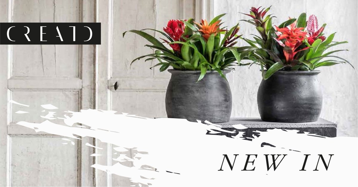 CreatdInteriors's tweet image. These dark grey terracotta vases in a matte finish are a perfect way to display natural or faux flora. Each piece is authentic and unique in character as they are individually glazed and handmade. Shop them online: creatdinteriors.com/products/grey-…. #HomeDecor