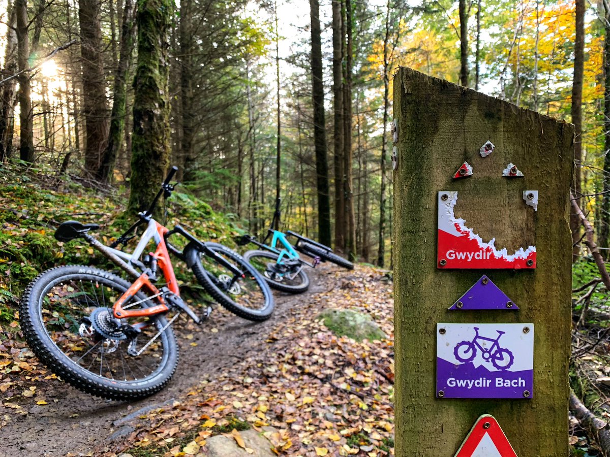 mtbcymru's tweet photo. Someone was hungry?? 😂 #mtb #gwydirmawr #Wales #hungrysquirrels 🐿 https://t.co/39udiKBTR4