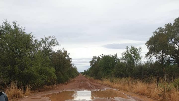JGvanZyl_ZA's tweet image. IS IT RAINING WHERE YOU ARE? #Tuedaymorning good news. 
Thank you Lord for the rainfall in #Ellisras, #Struisbaai, #Malelane #Witrivier, #Petrusburg, #SaltRock, #Harties, 
Please reply if it is raining where you are. #Reën lekke!