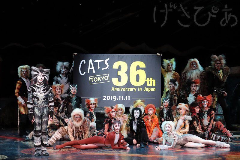 ট ইট র げきぴあ Byチケットぴあ 劇団四季 キャッツ は昨日 日本上演36周年を迎えました 昨日の特別カーテンコールのレポを掲載 東京キャッツ シアターでの上演は21年夏の千秋楽が発表されています 人気作なので今後どんどんチケットも入手困難になっ ট ইট র げきぴあ Byチケットぴあ 劇団四季 キャッツ は昨日 日本上演36周年を迎えました 昨日の特別カーテンコールのレポを掲載 東京キャッツ シアターでの上演は21年夏の千秋楽が発表されています 人気作なので今後どんどんチケットも入手困難になっ