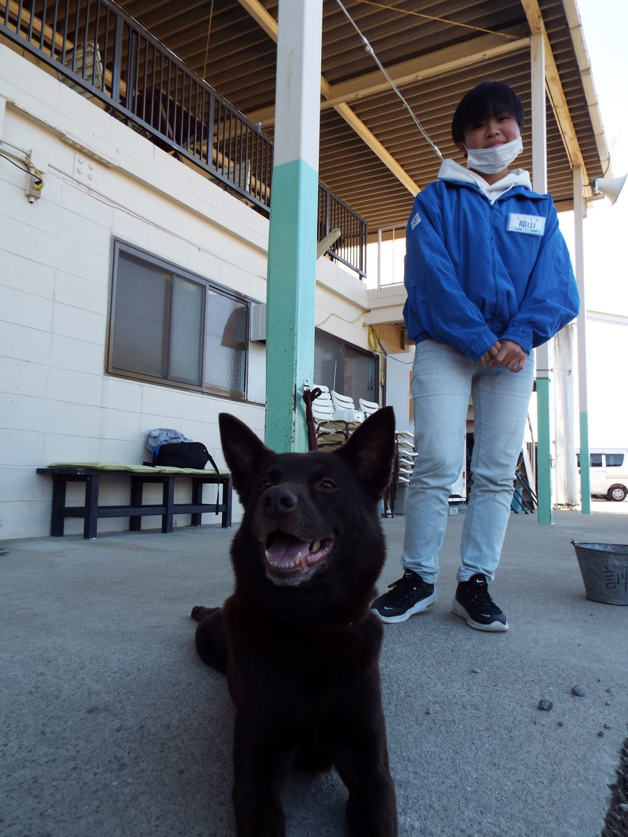 公式 関空ペット総合学院 Kanku Pet Twitter 公式 関空ペット総合学院 Kanku Pet Twitter