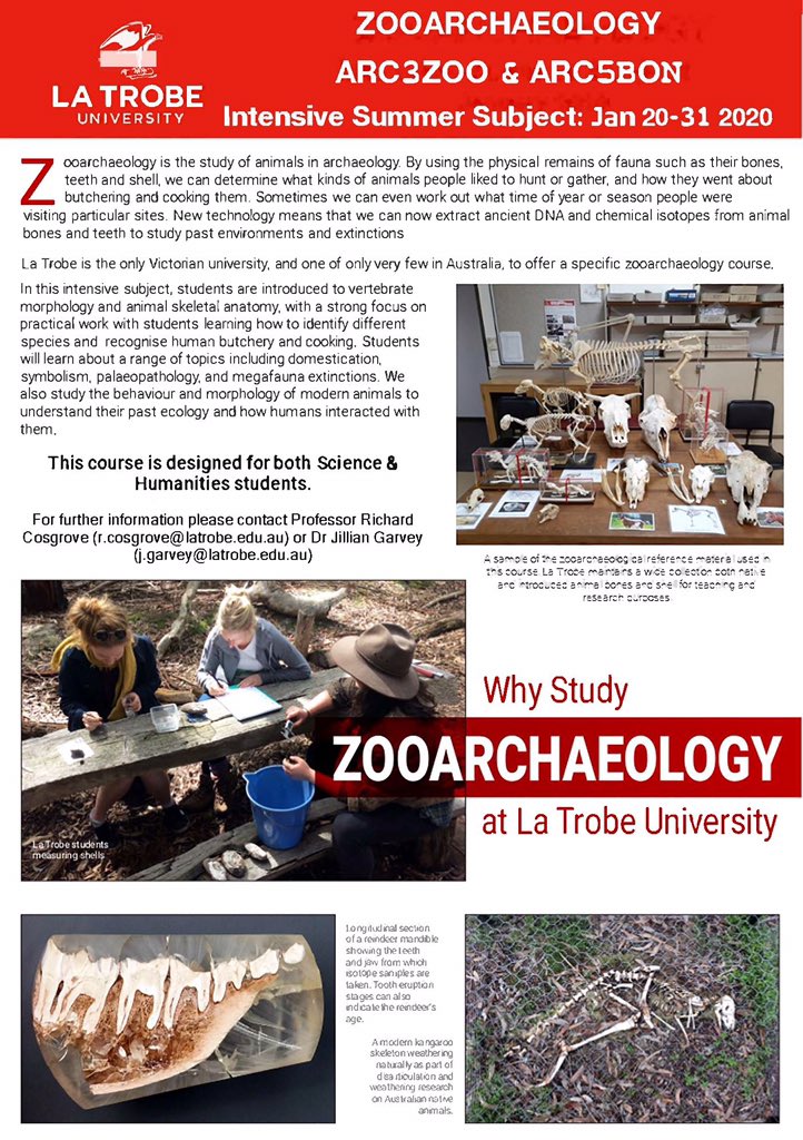 oz_zooarch's tweet photo. What to learn about #zooarchaeology or vertebrate bone morphology? Enrollments for our summer intensive @latrobe @LTUArchaeology subject are now open. Designed for both humanities and science undergrad and masters students this subject focuses on Australian native animals. https://t.co/uAJlDrvZeE