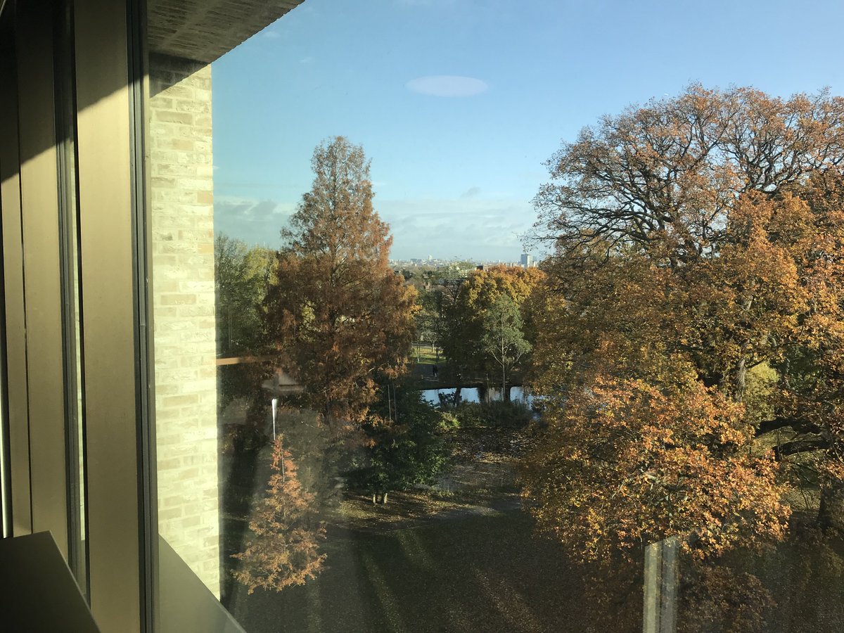 UR_Library's tweet image. Autumn in full swing and assessment time is nigh! 
Use the 3rd floor if you want to get on with your work without distractions! 

#greatviews
#individualstudy
#silentstudy
#phonefree
#foodfree