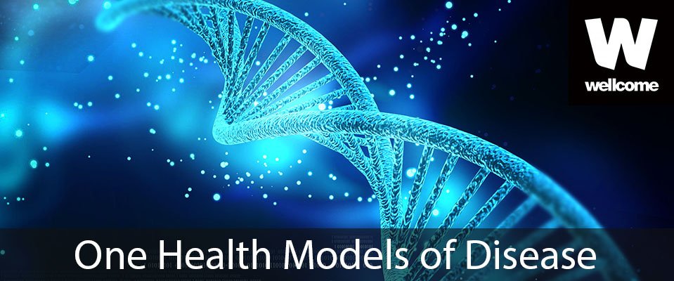 Edinburgh Infectious Diseases (@edin_eid) on Twitter photo Recruiting now - Wellcome Trust PhD programme in One Health Models of Disease: Science, Bioethics and Society <a href="/EdinburghUni/">The University of Edinburgh</a> <a href="/roslininstitute/">The Roslin Institute</a> <a href="/BiomedSelfSoc/">Centre for Biomedicine, Self and Society (CBSS)</a> - closing date 16 January 2020 - all details and to apply here ow.ly/FmX050x7DZ5 Recruiting now - Wellcome Trust PhD programme in One Health Models of Disease: Science, Bioethics and Society <a href="/EdinburghUni/">The University of Edinburgh</a> <a href="/roslininstitute/">The Roslin Institute</a> <a href="/BiomedSelfSoc/">Centre for Biomedicine, Self and Society (CBSS)</a> - closing date 16 January 2020 - all details and to apply here ow.ly/FmX050x7DZ5