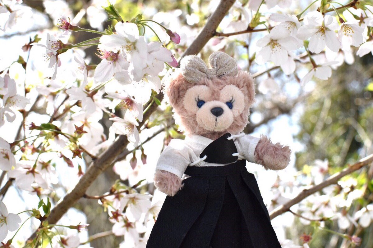 mamanote_'s tweet photo. ＼#プレゼントキャンペーン🎁✨／

弓道部で頑張っているあなたに！

応募者の中から抽選で、「ダッフィーコスチューム 部活動シリーズ」から弓道着が1名様に当たります🎯！

＜応募方法＞
①@mamanote_をフォロー
②この投稿をRT

※当選はDMにて行います※12/1締切

#ダッフィーコスチューム https://t.co/VFmbEfLdf3