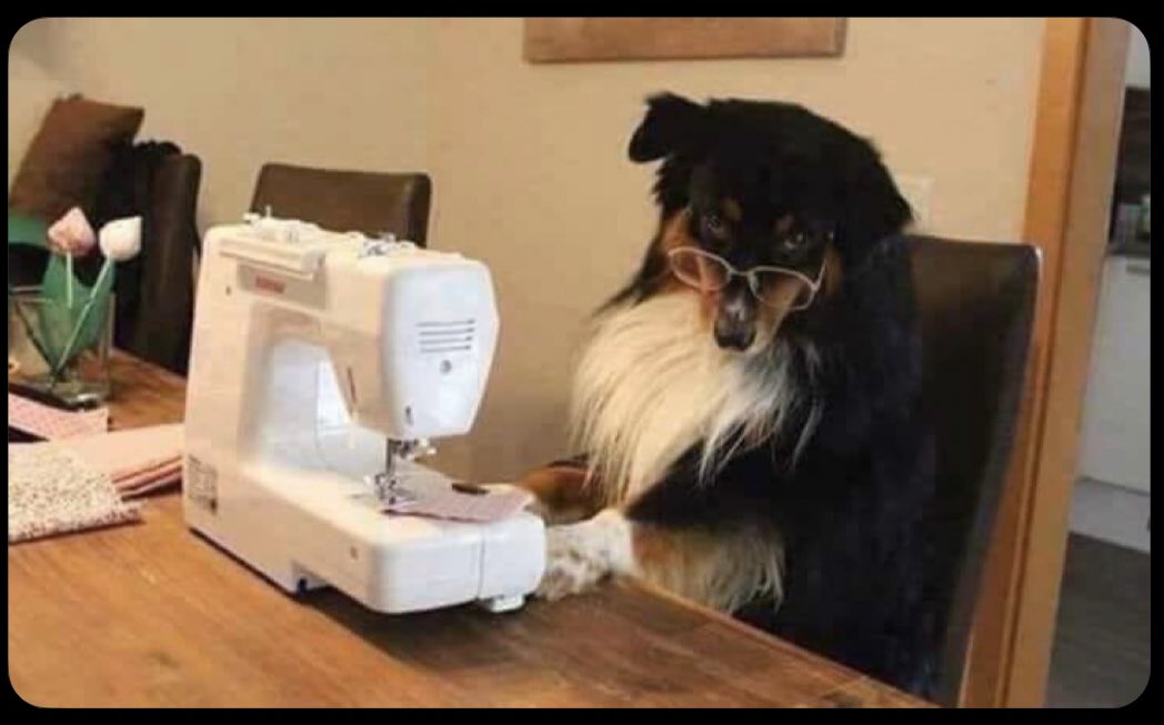Allezamani's tweet photo. This is how HOD’s Secretaries be looking at you like they’re the VC of the school https://t.co/IlizAMXbr4