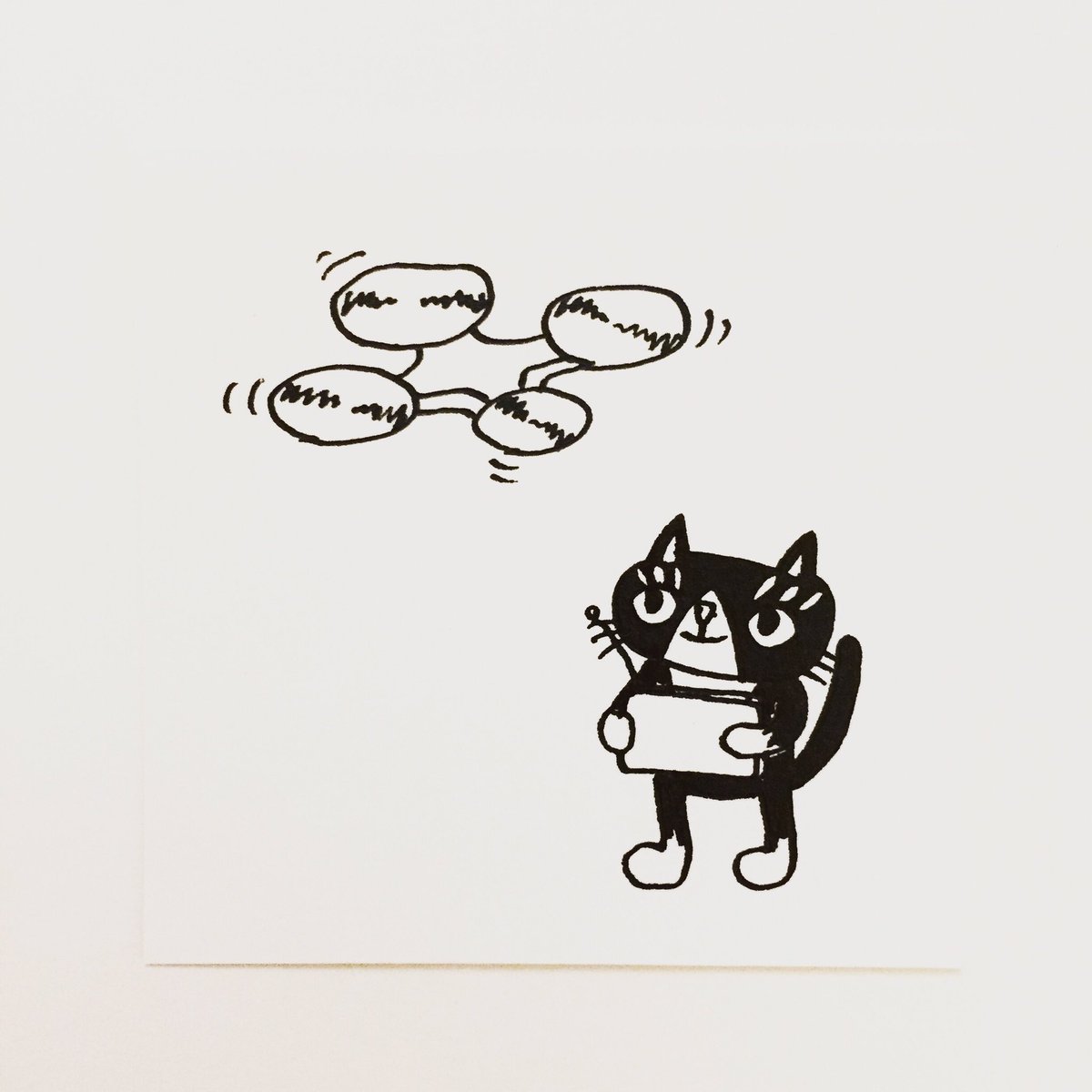 肌子 Pa Twitter 今日のイラストはコレ ｪ ドローンで遊ぶ猫 イラスト 猫 ネコ ねこ オリジナル ペン画 アナログ画 絵 ハチワレ 白黒猫