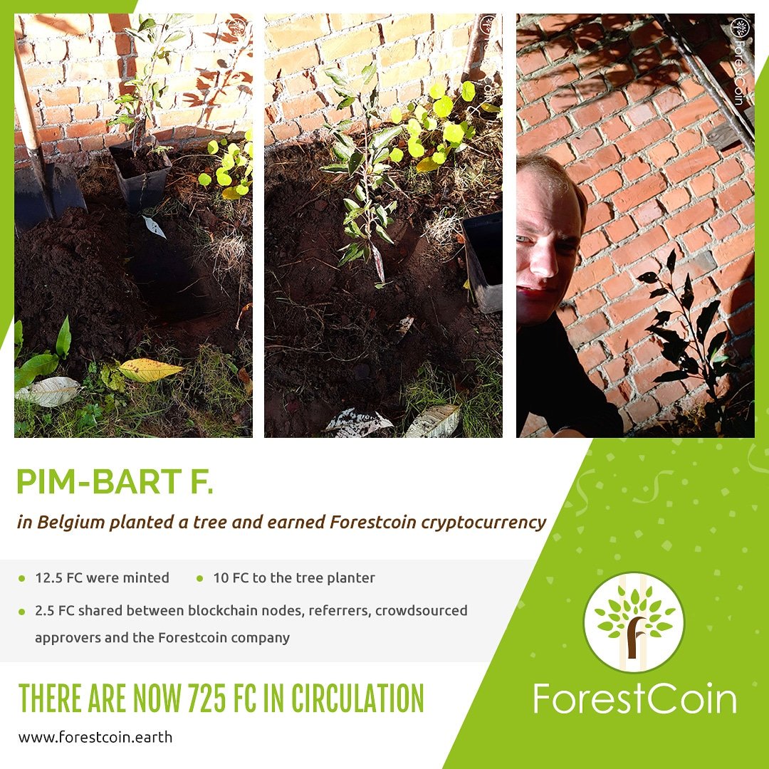 forestcoinearth's tweet image. Pim-Bart in Belgium documented a tree planting with the Forestcoin app and earned 10FC cryptocurrency. The FC has been minted and transmitted to the user wallets. #forestcoin #tree #selfiewithatree #plantatree   #climatechange #climatechangeisreal #cryptocurrency