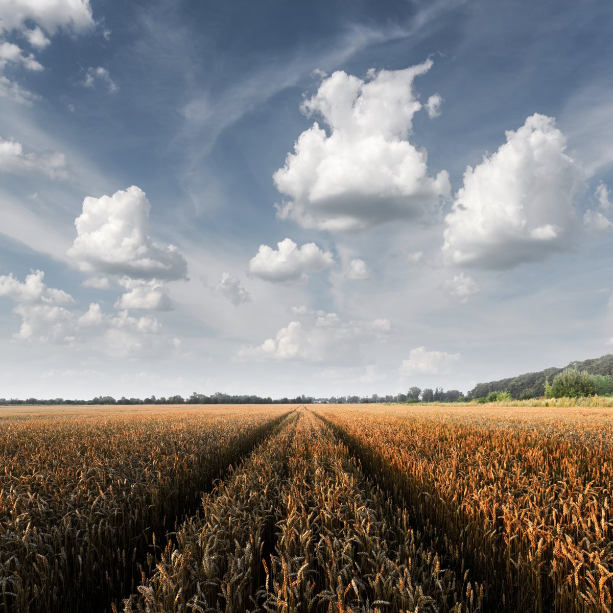 teknologiraadet's tweet image. Klimatilpasning og hensynet til biodiversitet kræver plads. Sammen med kommunerne diskuterer Teknologirådet, hvad pladsen skal bruges til i DK. Kom til workshop med Concito d. 14/11 i Vejle.
 forms.gle/xfAfjiXeWdT2gR…
#Klimakrise #biodiversitet #borgerinddragelse