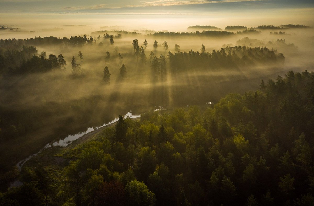 The Rise of the autumn Photo by Jurgis Kreilis / FilmDay @jurgiskreilis | shot on #DJI #Mavic2Pro