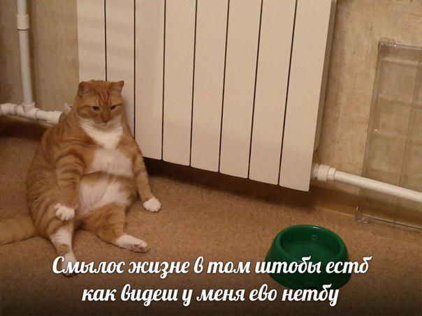 EJKdpGmXsAAp41Q?format=jpg&name=small