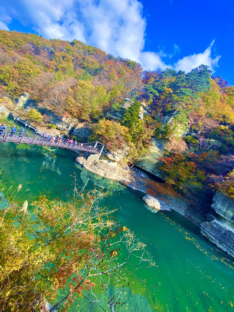 msdga1's tweet photo. 9日から11日まで
那須高原に旅行してきた⸜(*ˊᗜˋ*)⸝
観光は福島県まで車で行って
大内宿と塔のへつり満喫してきた✨
紅葉綺麗だったなー(*´ω`*) https://t.co/94yhImWT9n