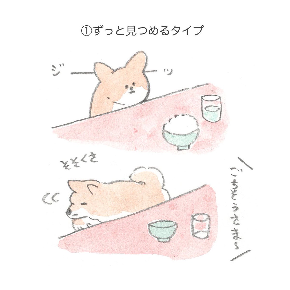 ご主人がご飯を食べている時のいぬの反応、さまざまで可愛い! 