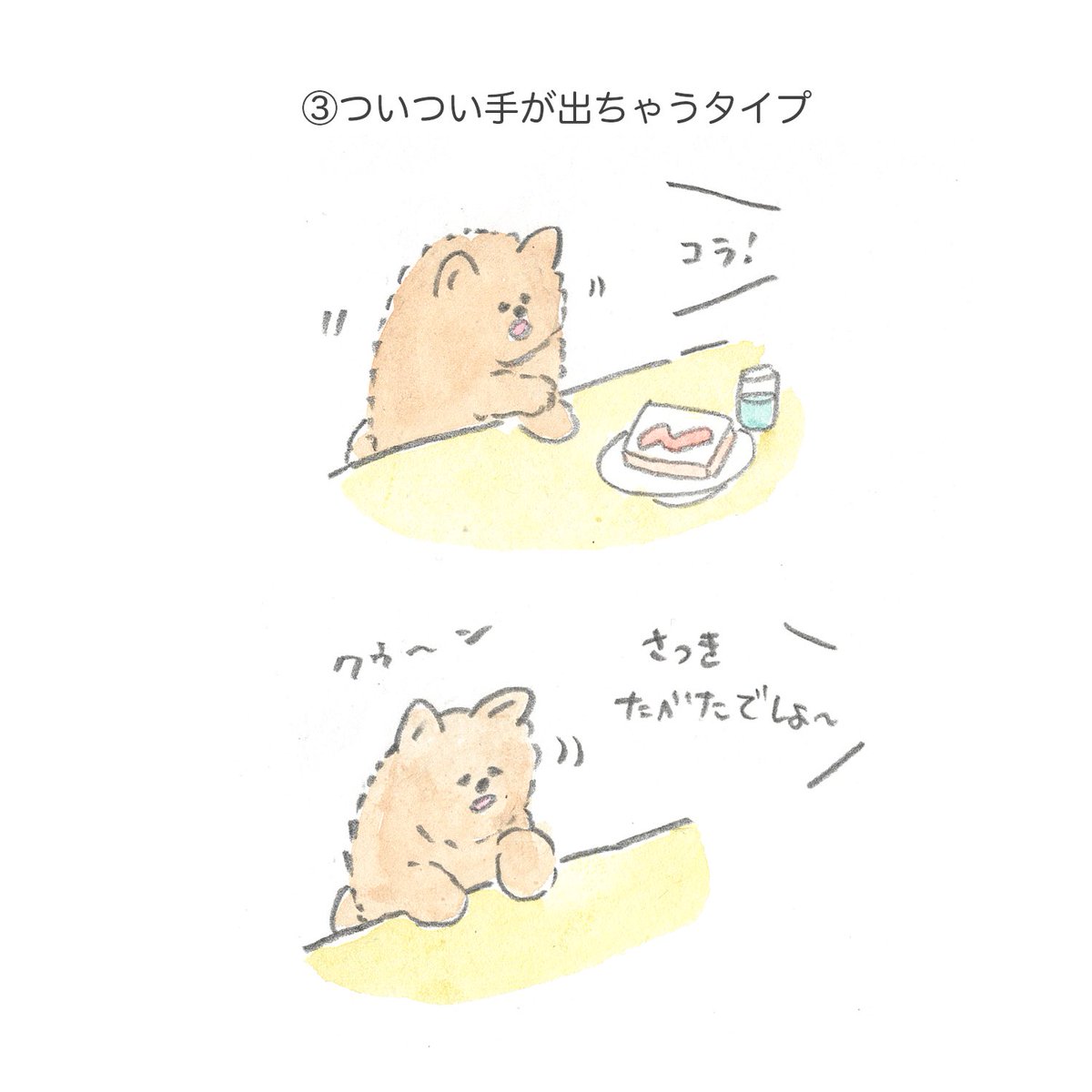 ご主人がご飯を食べている時のいぬの反応、さまざまで可愛い! 