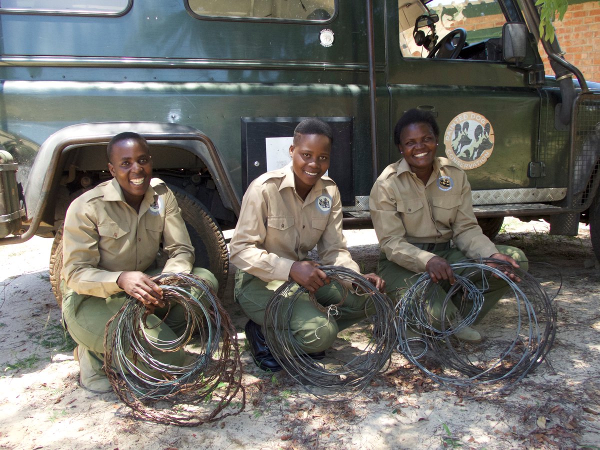 Today #Chooseday, we choose all the #womeninconservation working on the frontline of conservation & making a difference. With big smiles & big hearts, they work tirelessly to protect & conserve our nature.

Who do you choose as your female hero today?

#conservation #antipoaching