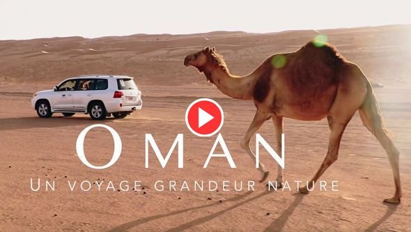 Découvrez notre vision du #voyage sur-mesure grâce à <a href="/LaGirafequiVole/">Marlène M.</a> : direction #Oman ! 
👉 youtube.com/watch?v=a_M4gU…