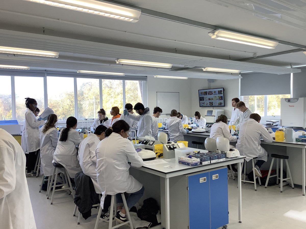 Yr2 Students #biochemistry #genetics getting on with determining specific chitinase activity in 🍐🍇🍓fruit extracts to estimate level of fungal resistance and assess risk of eating fresh 🍐🍇🍓 fruits by #latexfruitsyndrome patients @SwanseaMedicine @SwanseaUni @SwanseaBiGSoc