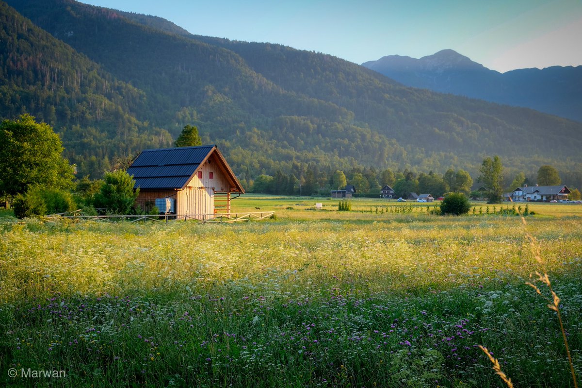 The charming Polje, Slovenia.

Polje is a settlement in the Municipality of Bohinj in the Upper Carniola region of Slovenia
#bohinj #myway #ifeelslovenia @KranjskaGora @lakebohinj @SloveniaInfo @igslovenia 
Photo by our team.