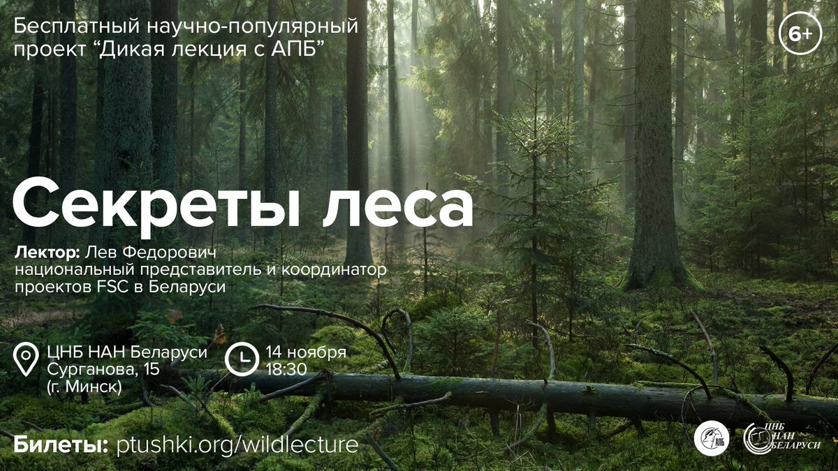 WildlifeBelarus's tweet image. Пабачымся паслязаўтра? Прыходзь на цікавую лекцыю ад Льва Федаровіча - профі, які гарыць лясной тэмай! Бясплатны білет атрымаеш тут: ptushki.timepad.ru/event/1109264/