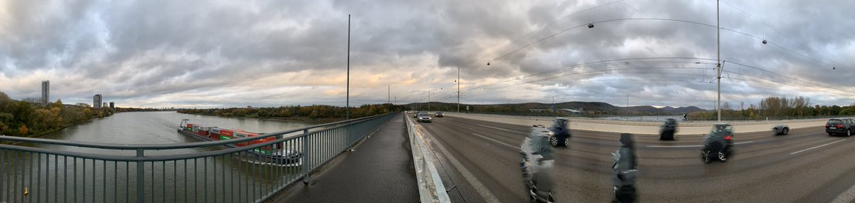 Sascha_Foerster's tweet photo. Heute Morgen die Anfahrt mit dem Rad hatte dann doch etwas Stau-Anteil. Aber spätestens auf der @adenauerbruecke// @Suedbruecke sieht man leicht versteckt hinter den Bäumen den @TelekomGK-Campus in #Bonn wo heute #BizBonn19 stattfindet. #DigitalesBonn #TelekomWall https://t.co/uRSSyuWGzO