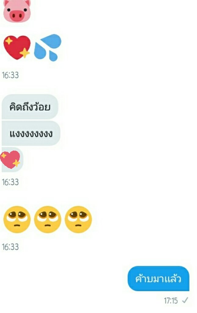 หมูขิงเเมว tweet media