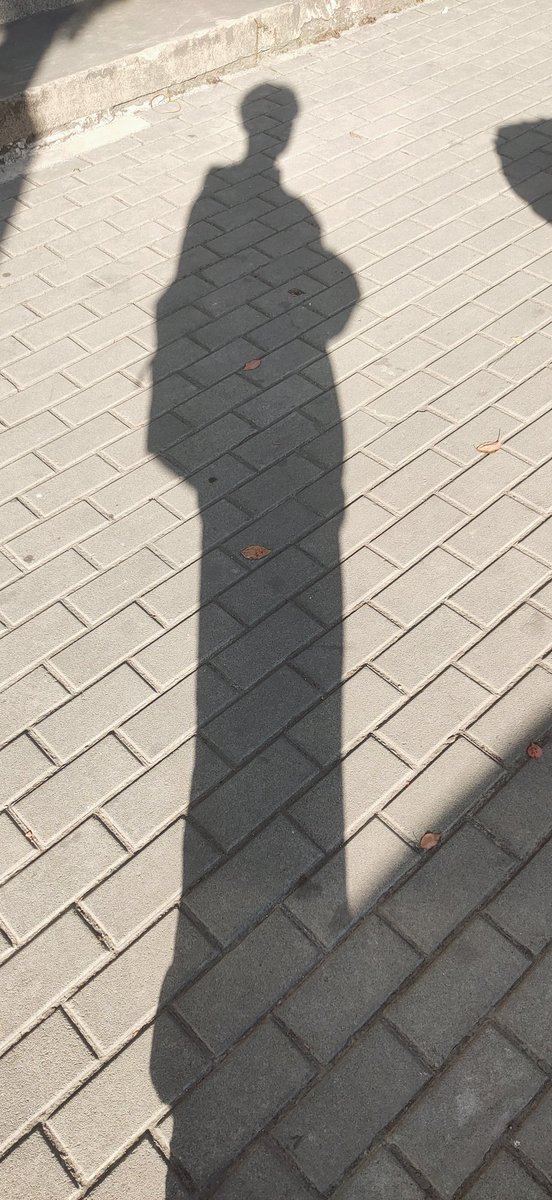 给你们看看我的影子。。。。。