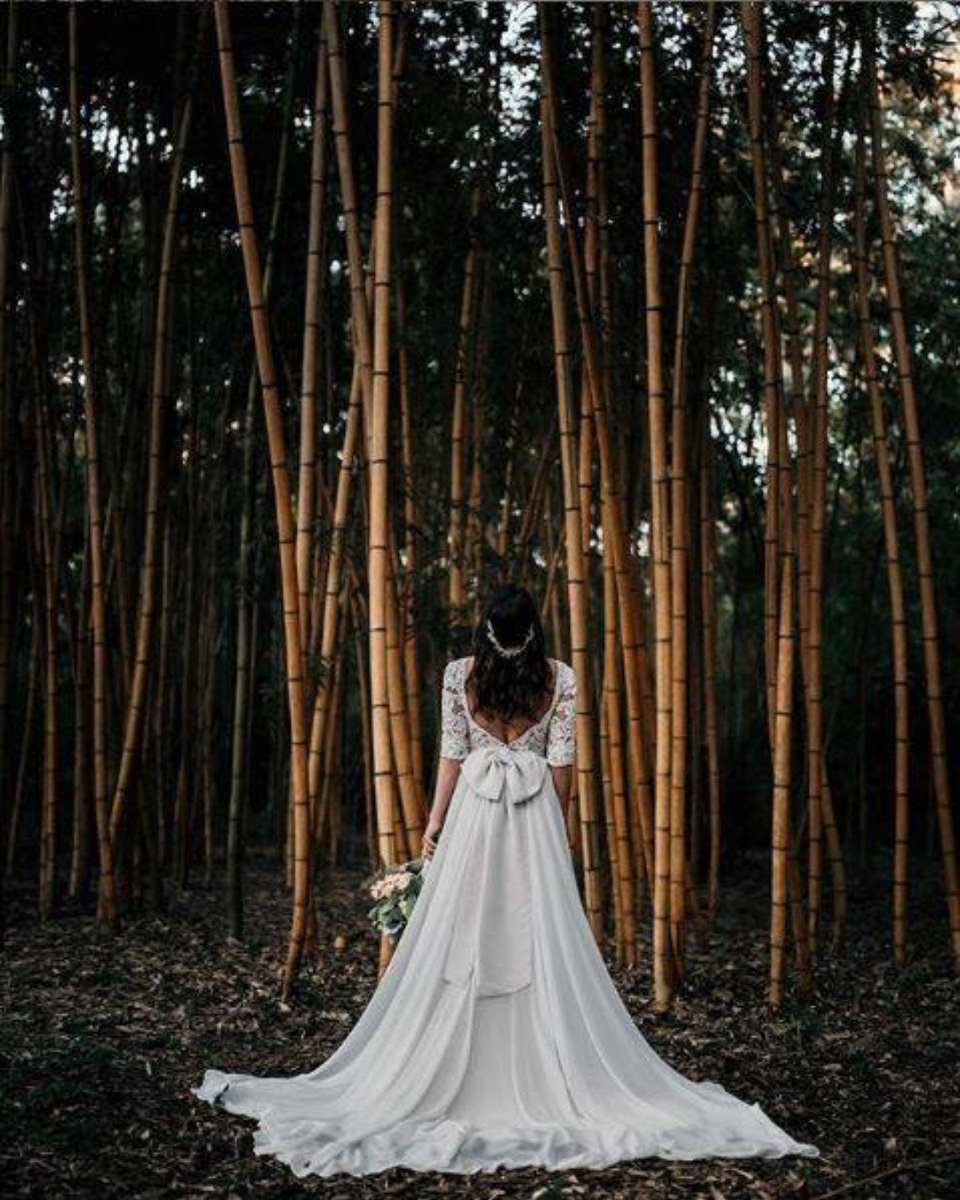 We love a good moody bridal shoot 😍

@dkhebertphoto

#AveryIsland #JungleGardens #LouisianaPhotography #WeddingPhotography #Bridals #SouthernWeddings #OnlyInLouisiana #SouthLouisiana