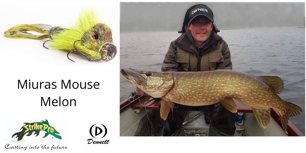 Dennett Outdoor Ltd on X: Miuras Mouse catches some big fish