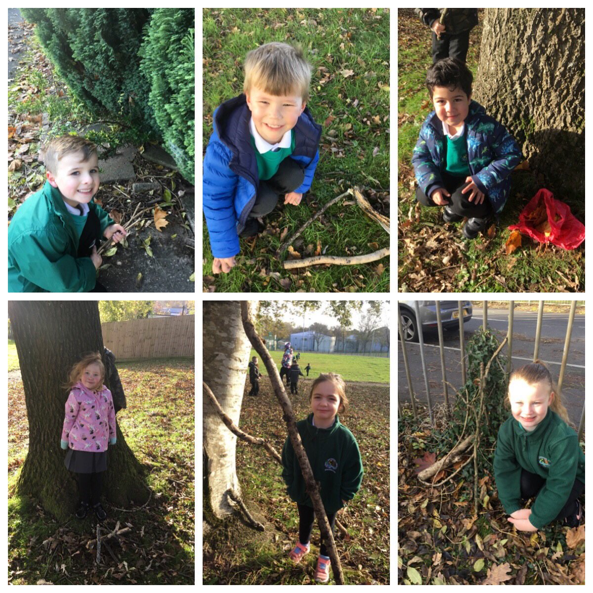 Springwood_Prm's tweet photo. We used materials outside to build homes for animals that hibernate #springpowis #springpse https://t.co/SCpHg8r8qL