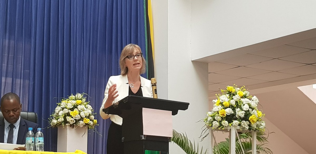 GATEProject1's tweet photo. @susanpmurphy, Principal Investigator for @GATEProject1 speaking during the launch. @tcddublin @IrlEmbTanzania @tcdglobal @TCDTIDI #gender https://t.co/OnoJYXEqzs