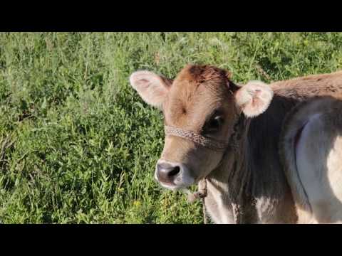 FleInstant's tweet image. #B2 #C1
Retrouverez-vous les 10 #idées de cette vidéo qui vous serviront à voyager de manière #écoresponsable. Quoi de mieux pour parler d’ #écologie et pour revoir  tout ce vocabulaire?
#FLE #french #profs
instantfle.fr/voyager-eco-re…