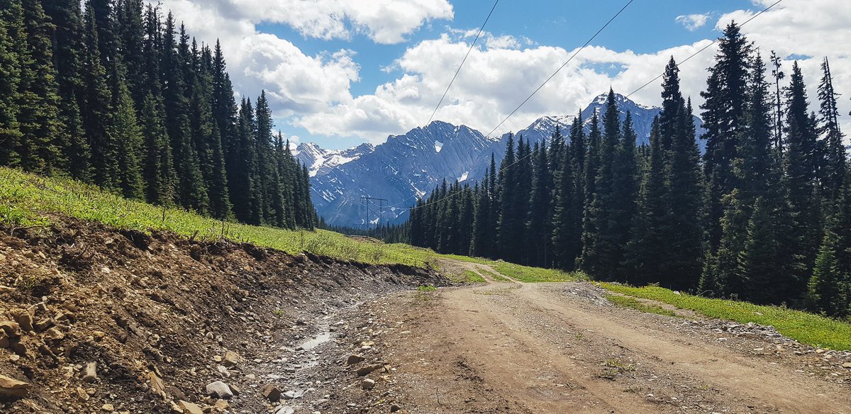 Soup Athletica tweet media