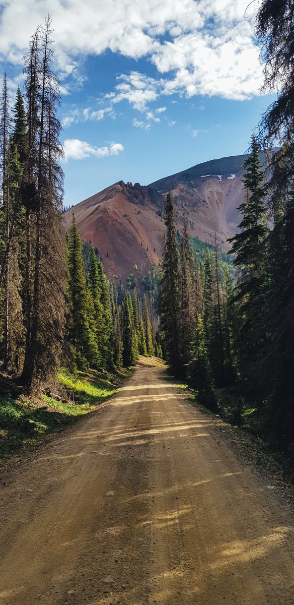 Soup Athletica tweet media