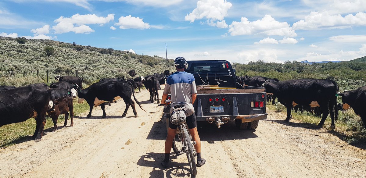 Soup Athletica tweet media